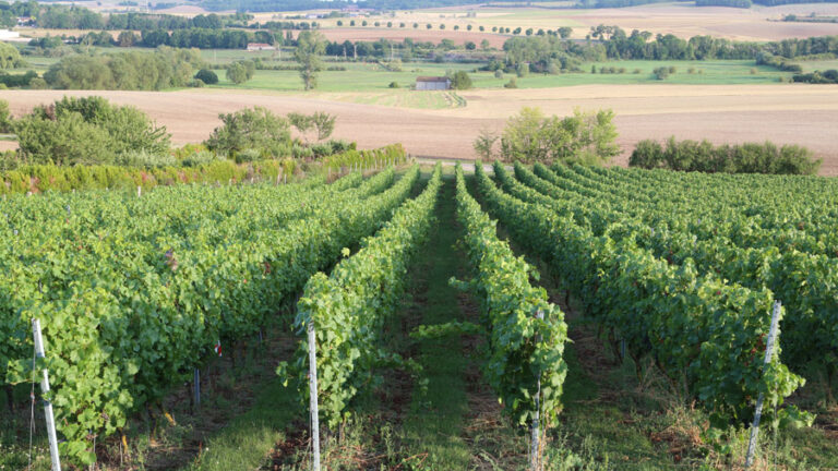 243-france-pays-du-saulnois-1