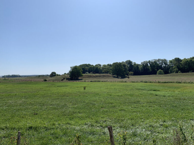 75-france-pays-du-saulnois-2