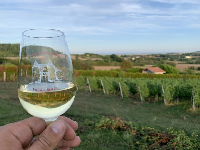 vin-france-pays-du-saulnois-1